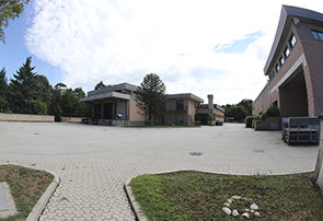 newest member newest member