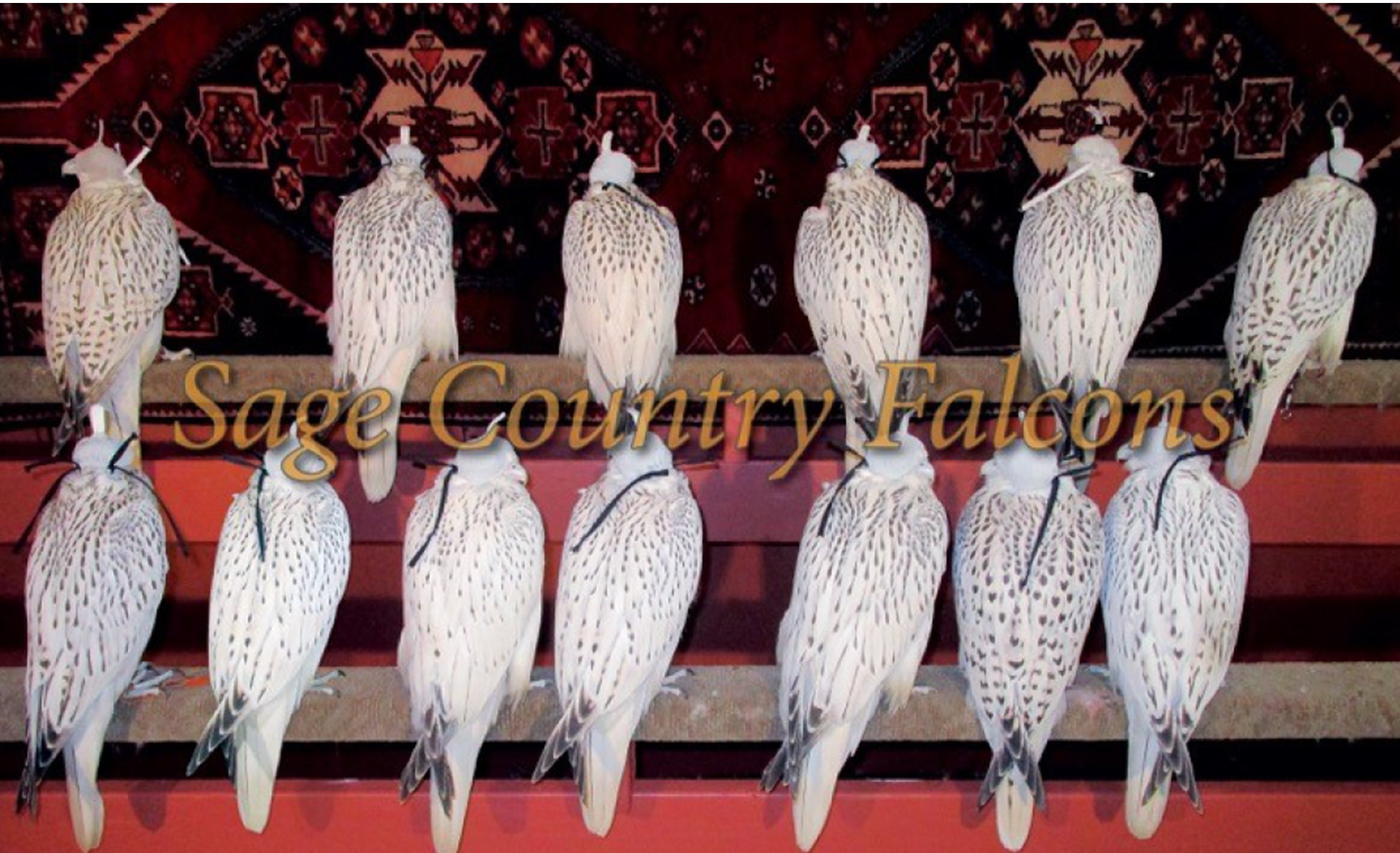 logistics companies and suppliers