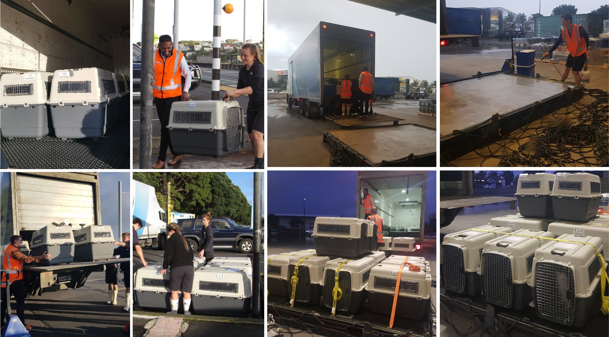 international logistics