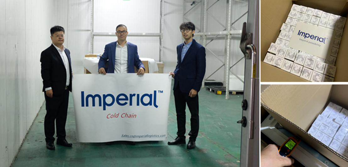 international logistics service provider