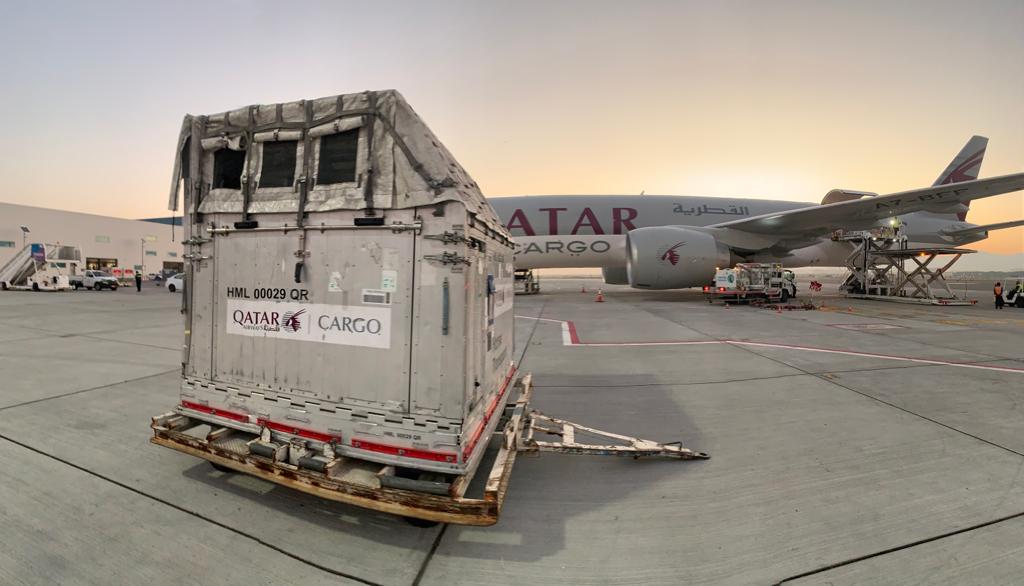 Coop News - KRS - Horse shipment