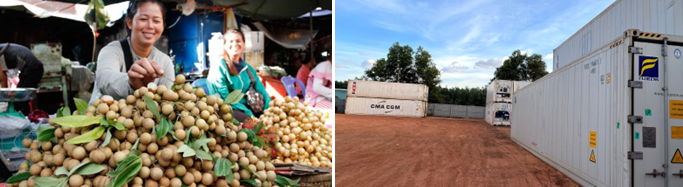 Coop member in Ho Chi Minh